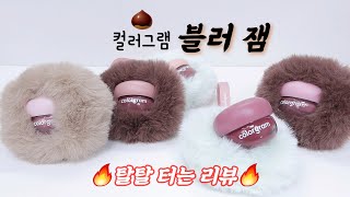 올 가을은 블러셔 대란이다💥 🌰컬러그램 틴토리 블러 잼🌰 탈탈리뷰 배달이요💨 [라무makeup]