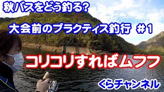 バス釣り　大会前の練習　くらちゃん的プラクティス　弥栄ダム　#１