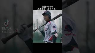 八戸学院光星出身のプロ野球選手は大成しない説