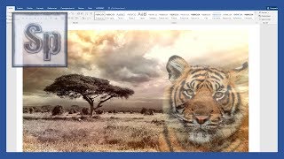 Word - Como hacer una imagen transparente en Word y guardarla. Tutorial en español HD