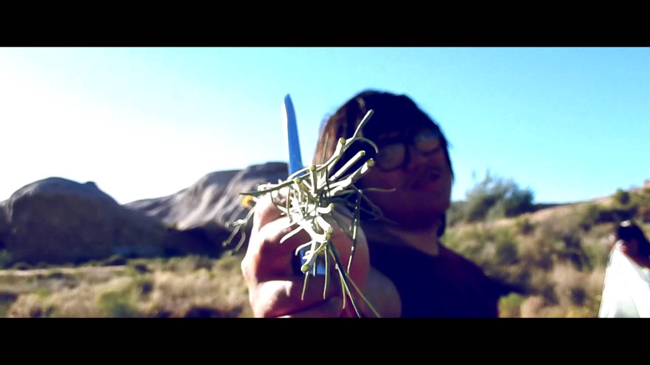 Picking Navajo Tea Youtube