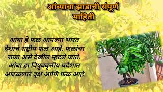 आंब्याच्या झाडांची संपुर्ण माहिती/information about mango tree in marathi/@krt104