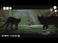 小麻與細佬又直播打機🐱試玩ps5新貓貓game＜stray＞｜貓奴請入