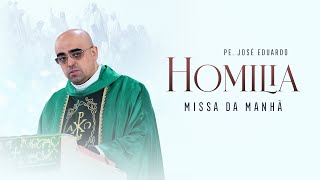 A SUPERIORIDADE DO AMOR - Homilia - VII Domingo Comum (2025) Manhã