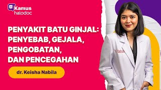 Penyakit Batu Ginjal: Penyebab, Gejala, Pengobatan, dan Pencegahan