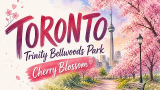 Toronto Cherry Blossoms 2026 Peak Bloom Spring Best Places to Visit Hidden Spot Trinity Bellwoods
