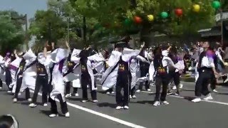 よさこい踊り連、京極発幸舞連[２０１６丸亀お城祭り