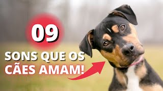 Descubra 09 SONS que os CACHORROS amam OUVIR - Coloque e veja as reações deles! | Dog Educado