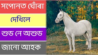 hopunot ghura dekle ki hoi|Hopunor falafol Assamese|Vastu Assam|Assamese Vastu