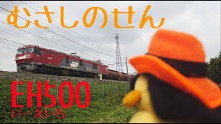 ぴょこのきかんしゃ!かっこいい!!　EH500がたきかんしゃ