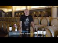 Puntinata - Malvasia Puntinata IGT Lazio - Video Tasting