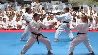 Mistrzowski Pokaz Karate Tradycyjnego -- PPDz Warszawa 2014