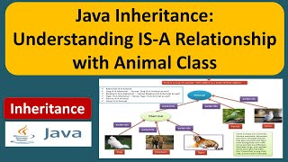 Java Inheritance: Understanding IS-A Relationship with Animal Class | Java Tutorial