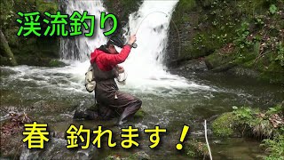 春の渓流へイワナ釣り・滝壺は釣れるか！三つの堰堤下は・・！ / フライフィッシング　北海道  /　Fly Fishing - Japan