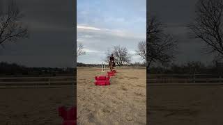 Horse Jumps a Skinny Combination #shorts