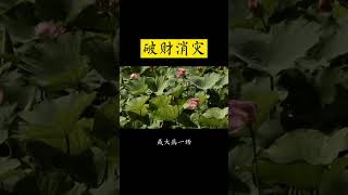 【玉清师傅】破财消灾