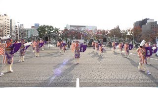 伊勢よさこい連 清流 @四日市よさこい祭り(市民公園会場) 2018-11-25T14:25