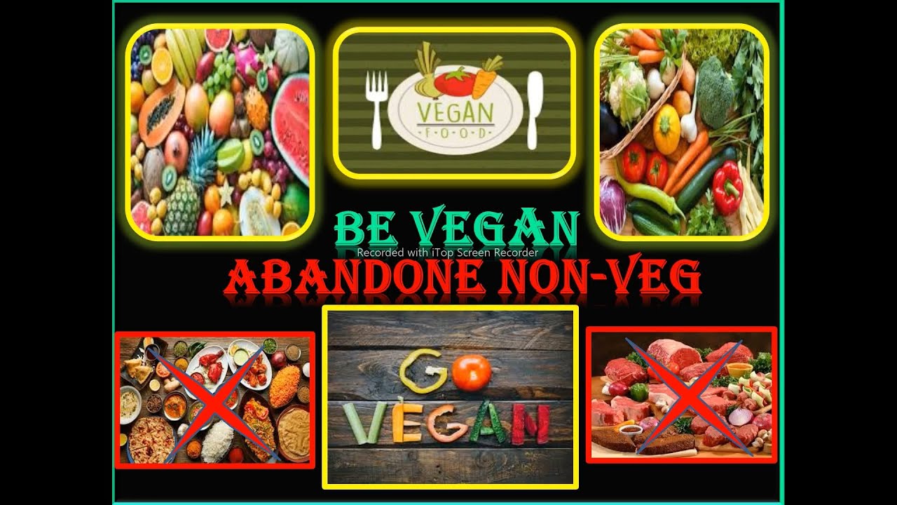 Why Go Vegan For Animals Be Vegan Go Vegan Abandon Non Veg Food Why Go Vegan For Animals Be Vegan Go Vegan Abandon Non Veg Food