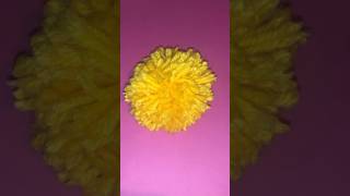 How to Make PomPoms- Easy DIY Pom Pom Tutorial