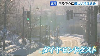 「ダイヤモンドダスト」が出現…北海道東部の内陸で厳しい冷え込み　遠軽町生田原で－23.0℃