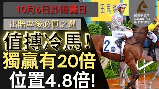 【賽馬貼士】10月6日 值搏冷馬！｜獨贏有20倍 位置都有4.8倍！值得一搏！