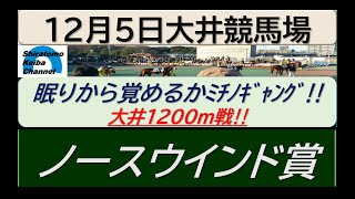 【競馬予想】ノースウインド賞～混戦の一戦！～2022年12月5日 大井競馬場