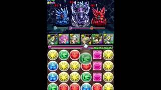 パズドラ 天元の黒龍 究極アテナパ