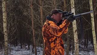 Driven hunt in Czech republic.