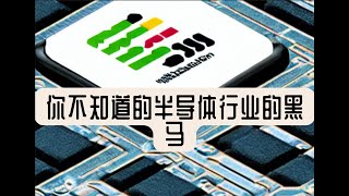 【劲爆】你不知道的半导体行业的黑马,今年要在股市赚钱，必看的影片！| The black horse in the semiconductor industry, must watch!