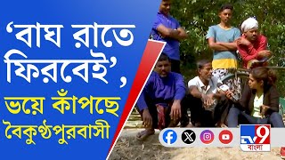 সুন্দরবন নিউজ, বৈকুণ্ঠপুর: বাঘ জঙ্গলে ফিরেও নিরাপত্তাহীন ভুগছে বৈকুণ্ঠপুরের মানুষ