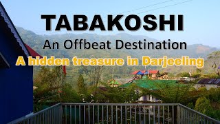 Tabakoshi | An Offbeat destination | A tea village | Darjeeling | Hindi Vlog | Mirik