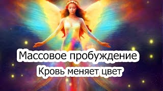 Массовое пробуждение людей после солнцестояния: Кровь меняет цвет. Что с нами происходит?