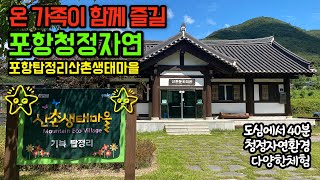 포항탑정리산촌생태마을 | 포항산림관광 | 포항비학산 | 포항산림명소