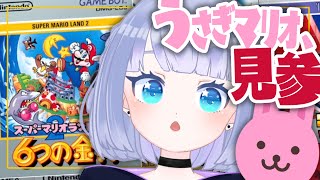 【スーパーマリオランド2 6つの金貨】ひげうさぎマリオでGO！【Vtuber】