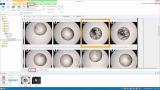 ROCK MAKER® Crystallization Software - Optimization Screen