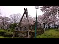 紫波 城山公園【岩手】　2019 04 24