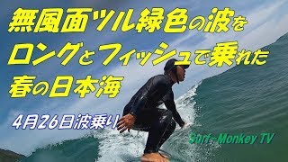 無風面ツル緑色の小波をロングとフィッシュで楽しめた春の日本海180426 ~サーフモンキーTV