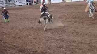 2015 Colorado RODEO 美國西部牛仔競技賽