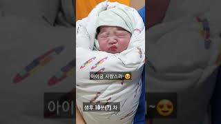 [1일차]이제 막 세상에 나온 신생앜ㅋㅋ(인생 산지10분째)