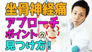 坐骨神経痛のアプローチポイントの見つけ方！｜ゴッドハンド通信｜大澤訓永