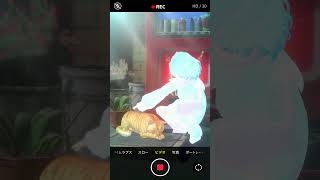 【 3Dのすがた 】本当は猫アレルギー #shorts #varkshorts #vtuber