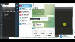 TRX Instant Swap Telegram Bot with Python | Python版TRX闪兑TG机器人源码搭建教程