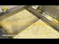 nigria corn flakes making machine video extruder