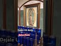 dejale un amèn ala virgencita y te bendicera elyrodriguez1762 catolico virgendeguadalupe dios orar