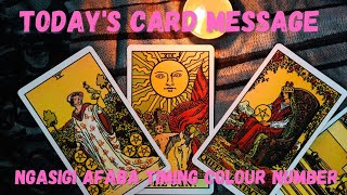 2nd Feb'25🌸Today's Card Message🌸Ngasigi Afaba Timing Colour Number🌸Manipuri Tarot Card Reading🌸