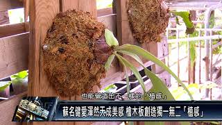 長治鄉/人物故事 111 0902 綠色療癒風盛行 長治青年打造豬舍裡的植栽工作室