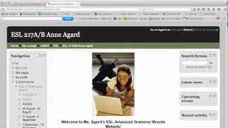 What the Moodle Icons Mean