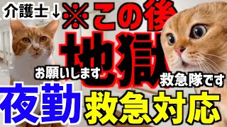 ひとり夜勤で救急搬送した地獄みたいな本当の話・・・😂【猫ミーム】