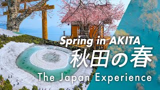 エクスペリエンス秋田 春 The Japan Experience Akita An Authentic Japanese Spring