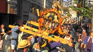 28年  第39回 川崎市民祭り  神輿パレード「おもてなしﾊﾟﾚｰﾄﾞ」です　。